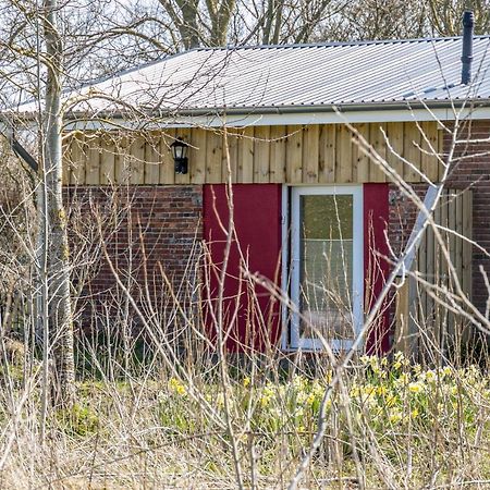 Deichgraf 1 Leilighet Friedrichskoog Eksteriør bilde