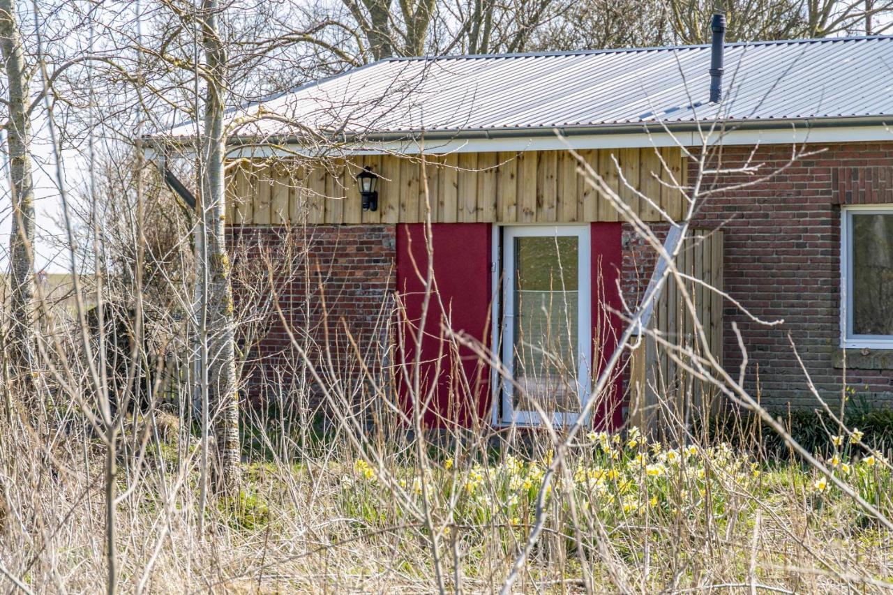 Deichgraf 1 Leilighet Friedrichskoog Eksteriør bilde