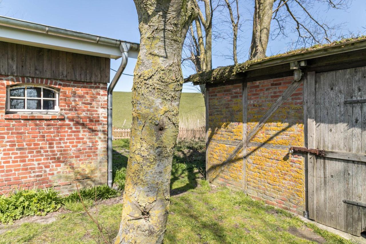 Deichgraf 1 Leilighet Friedrichskoog Eksteriør bilde