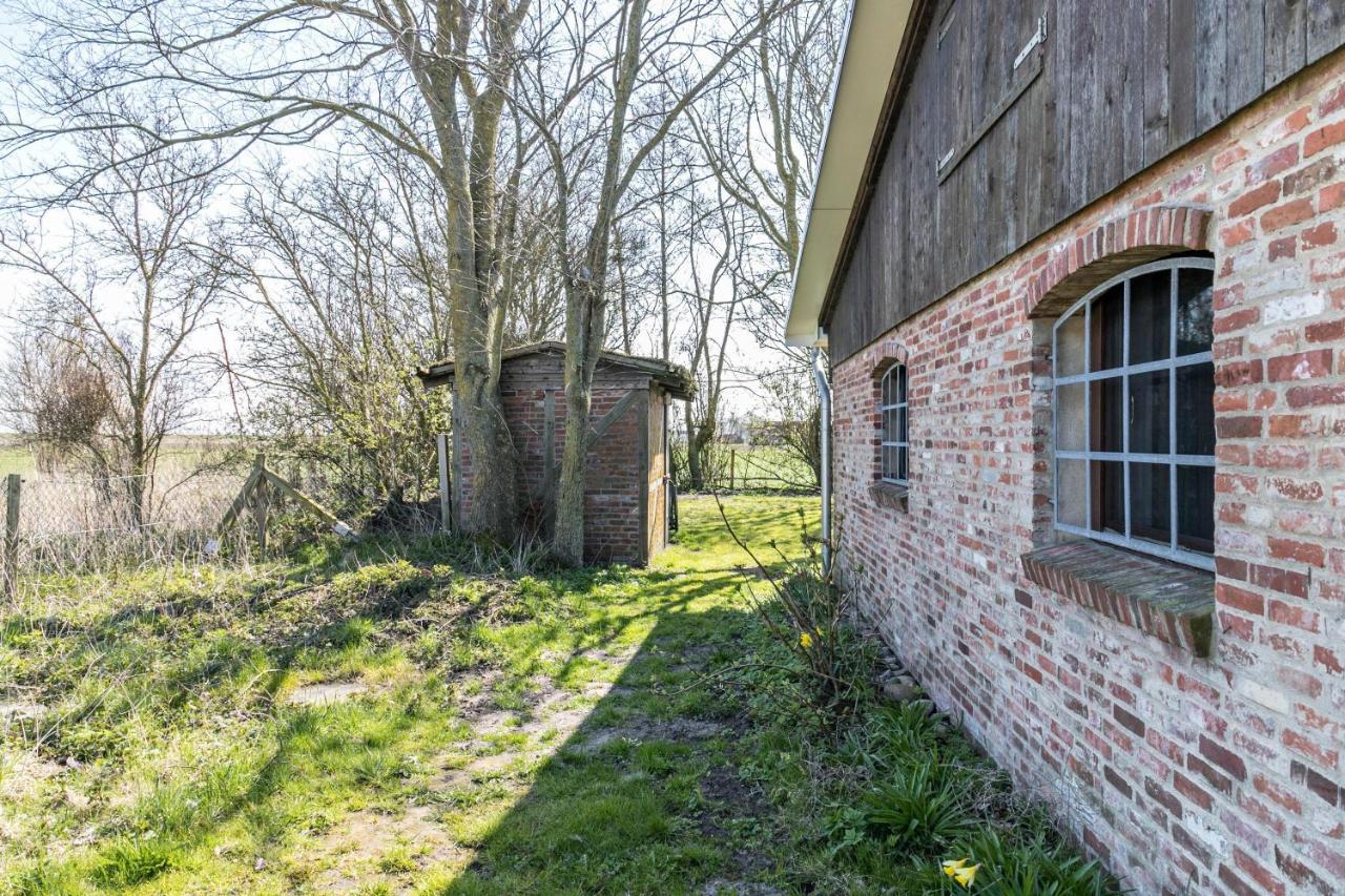 Deichgraf 1 Leilighet Friedrichskoog Eksteriør bilde
